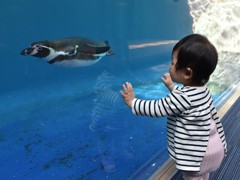 これはなんだ？？？