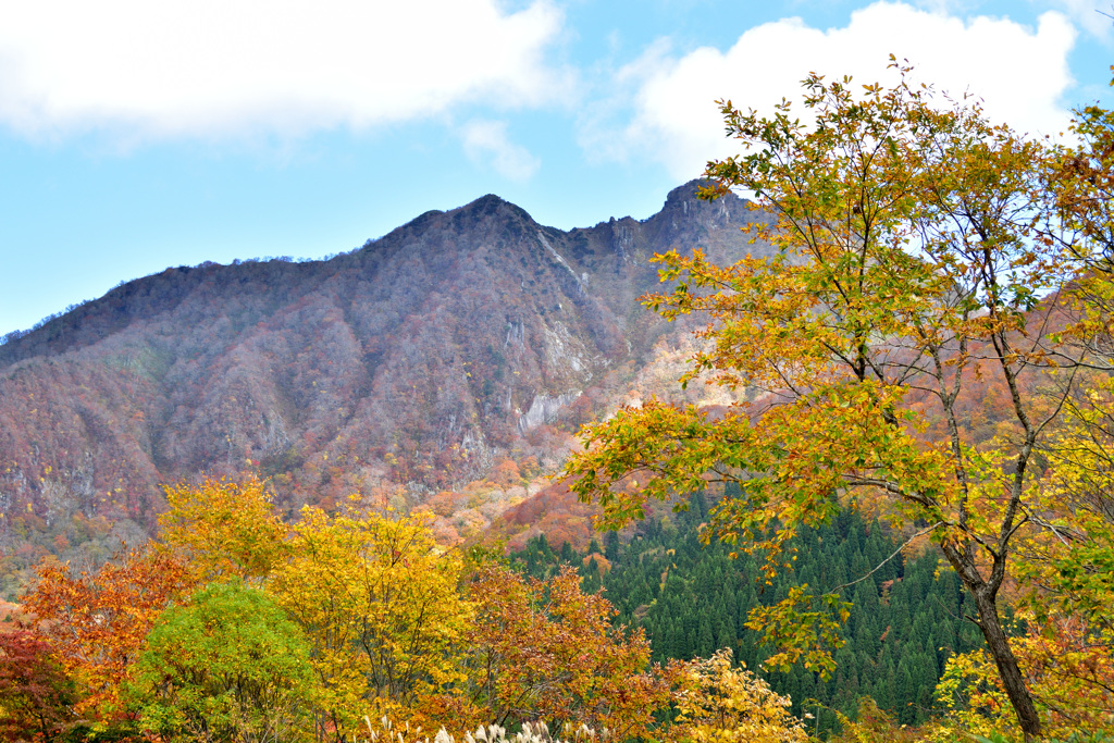 大山の紅葉