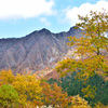 大山の紅葉