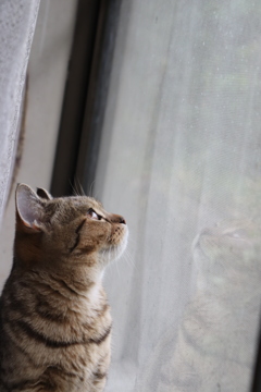 雨上がり