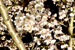 April