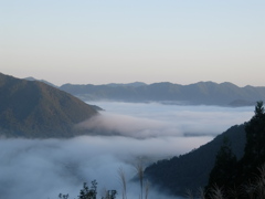 雲海