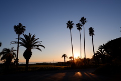 夕日