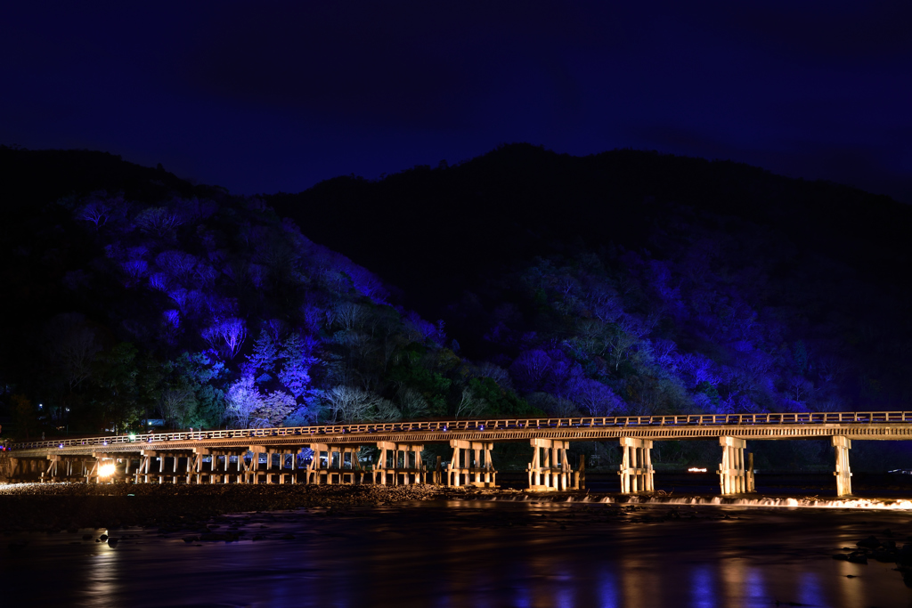 照らされる渡月橋