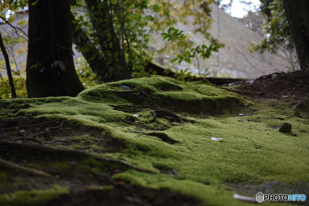 石山寺にて