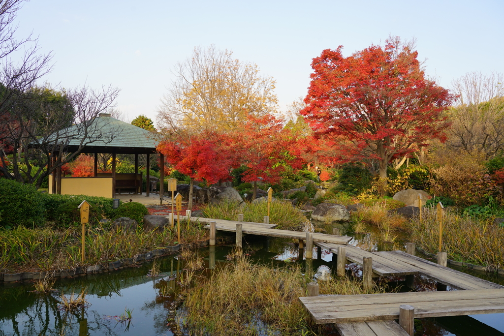 大仙公園その3