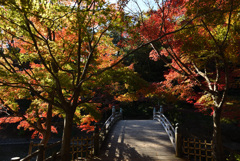 岡崎東公園