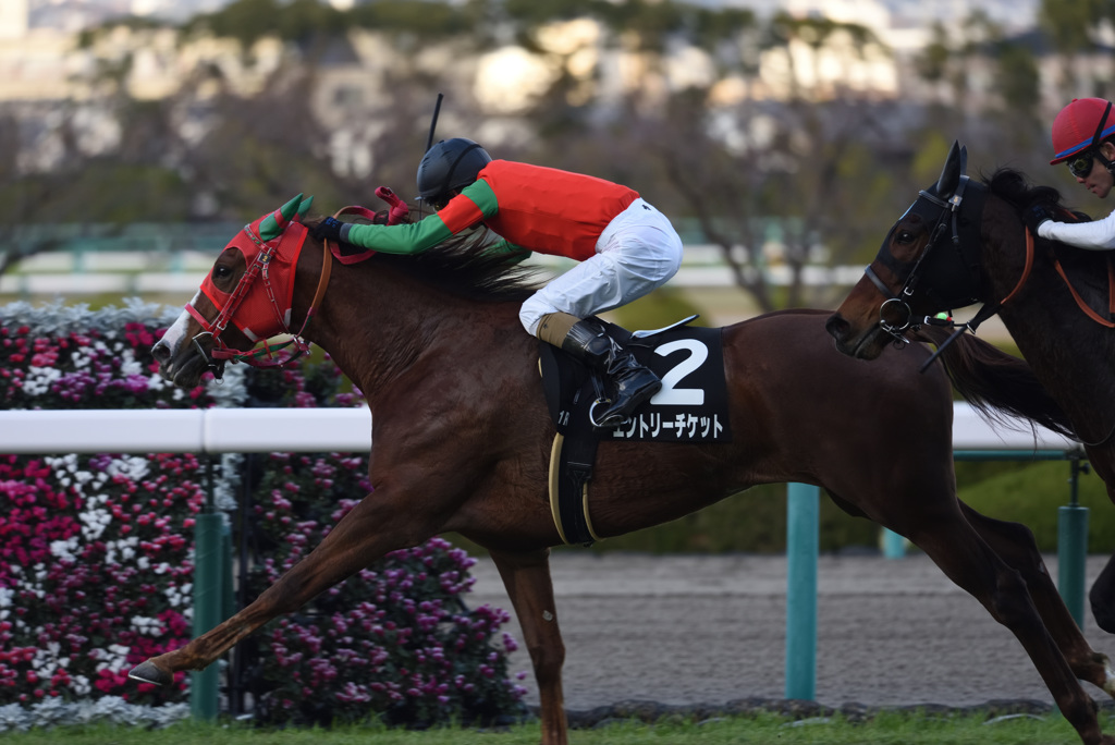 競馬2（2018.12.15）