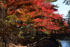 岡崎東公園2