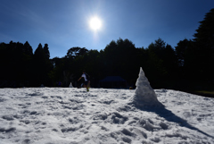 真夏の雪