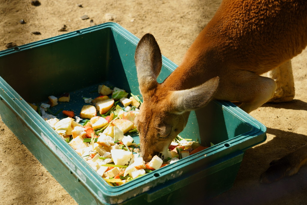 食事中