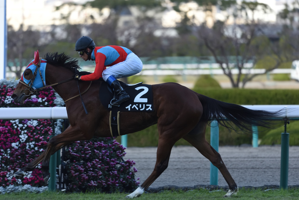 競馬1（2018.12.15）