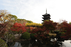 東寺3