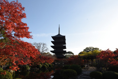 東寺4
