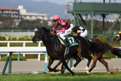 2019.02.24　阪神競馬その2