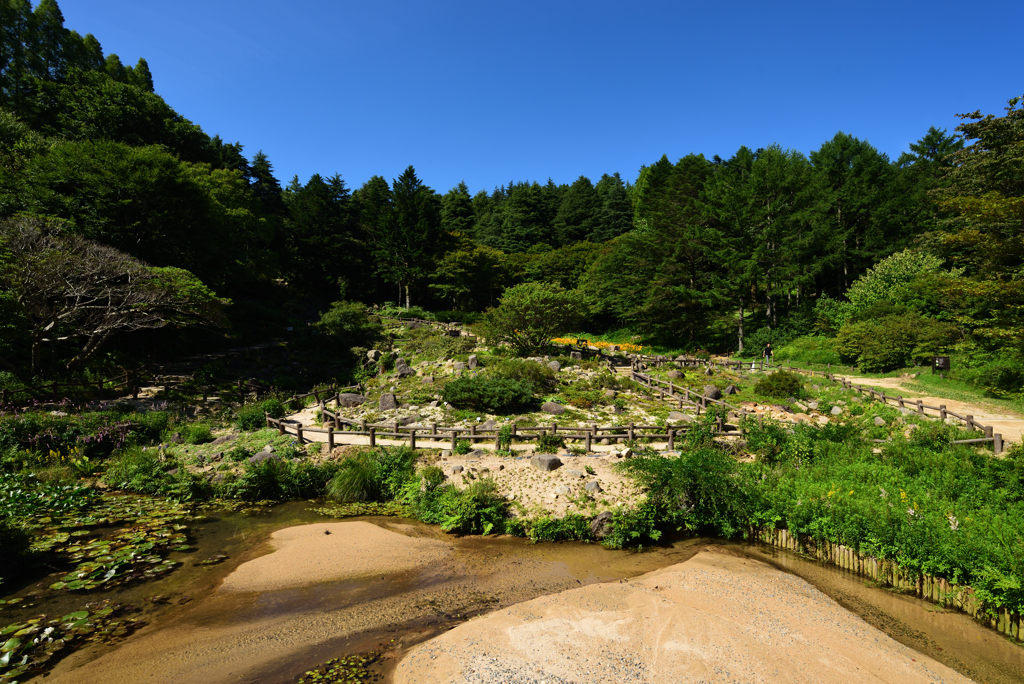 六甲高山植物園その2