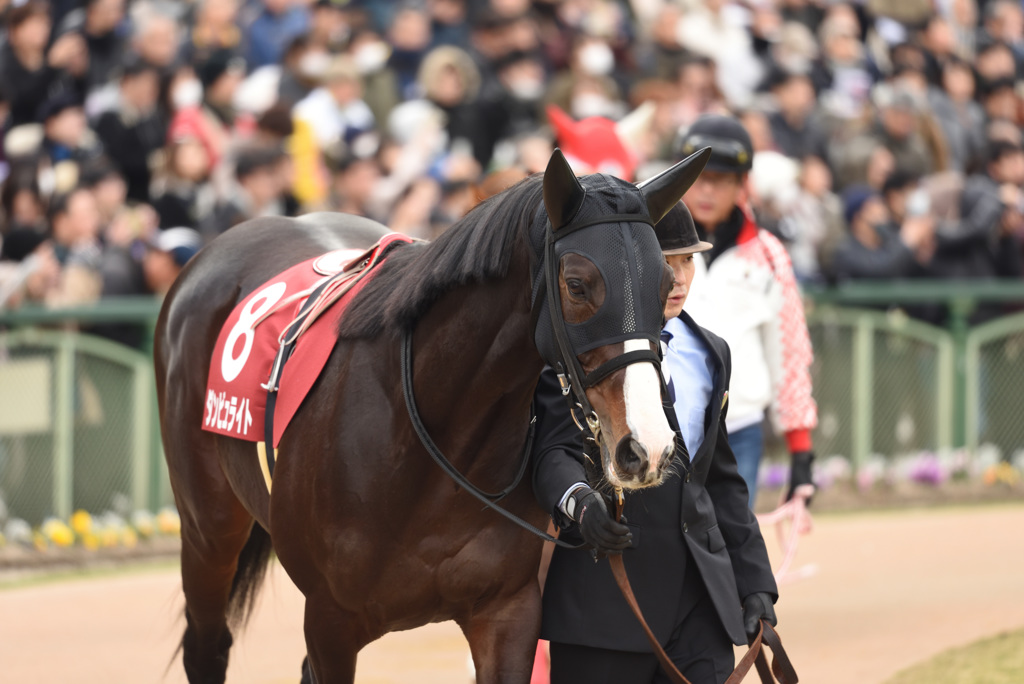 京都記念その4