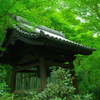 圓光寺　盛夏
