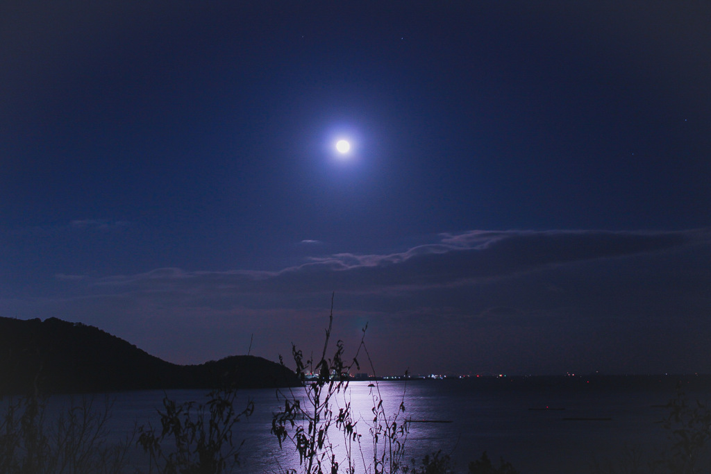 不思議な月夜