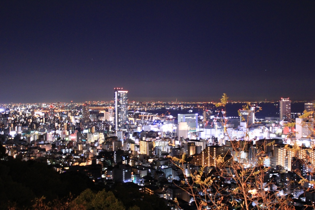 神戸の夜景