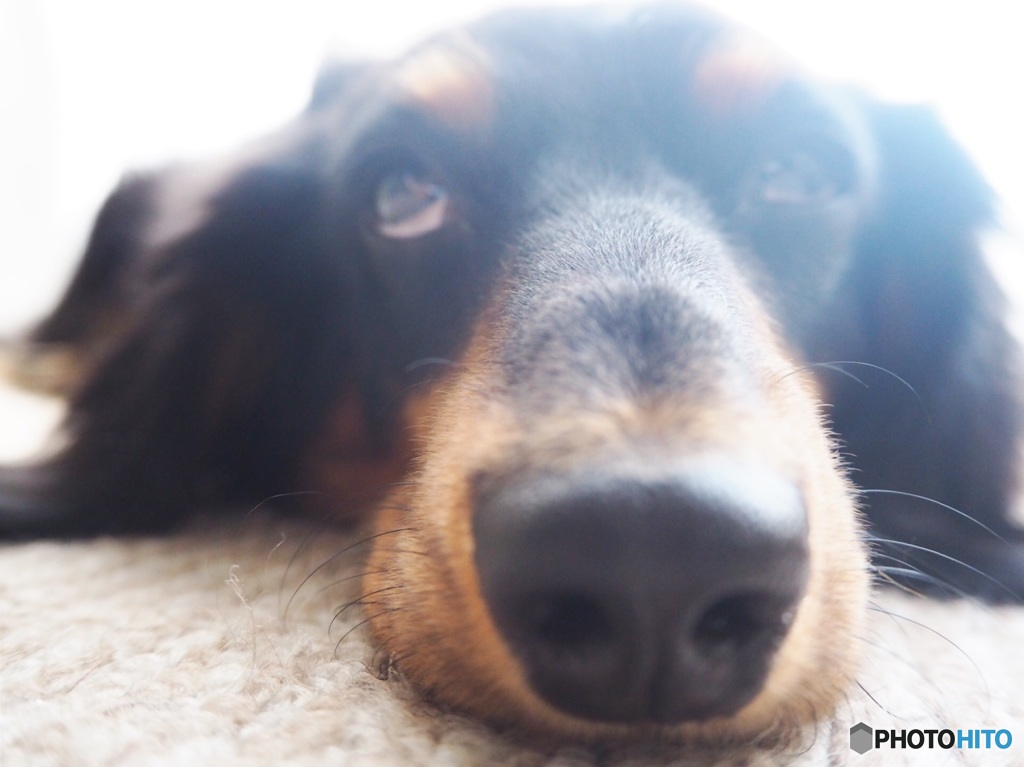 3DF70FD1-4F61-4252-B7C1-E58FEF0D51E1