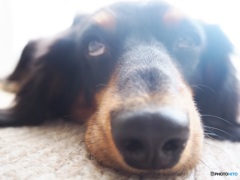 3DF70FD1-4F61-4252-B7C1-E58FEF0D51E1