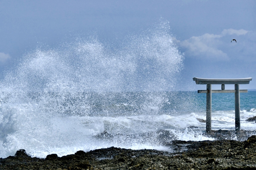 荒ぶる海