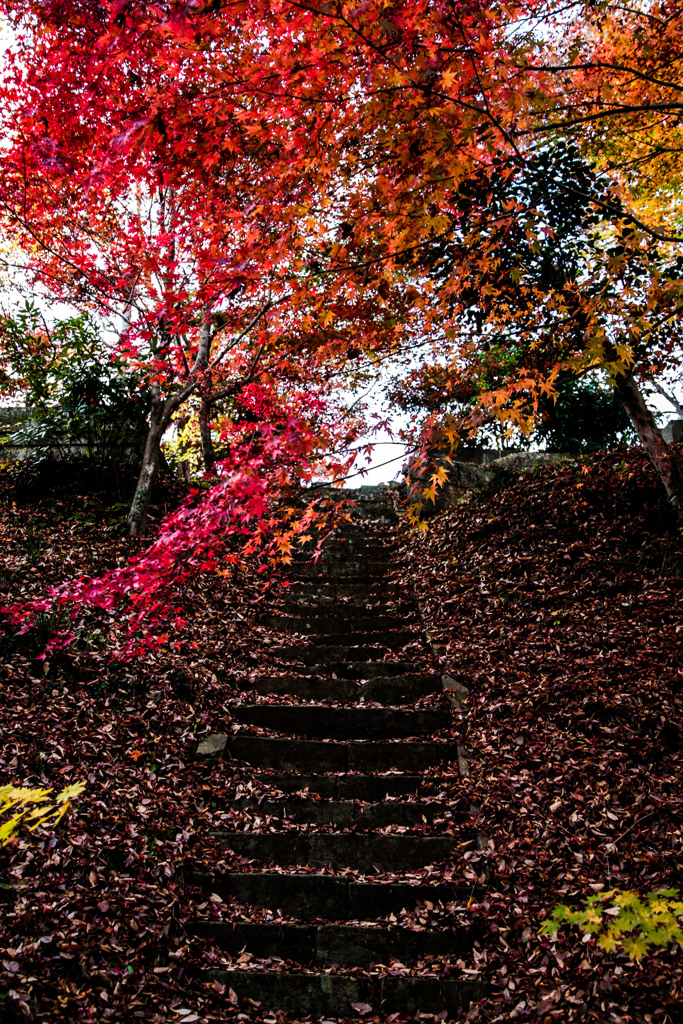 大子町永源寺