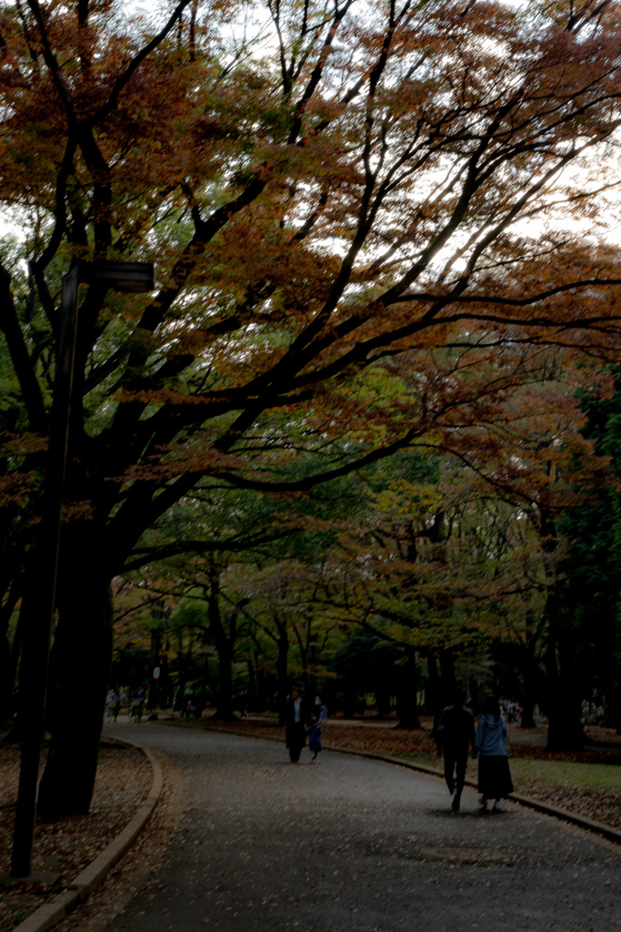 代々木公園にて