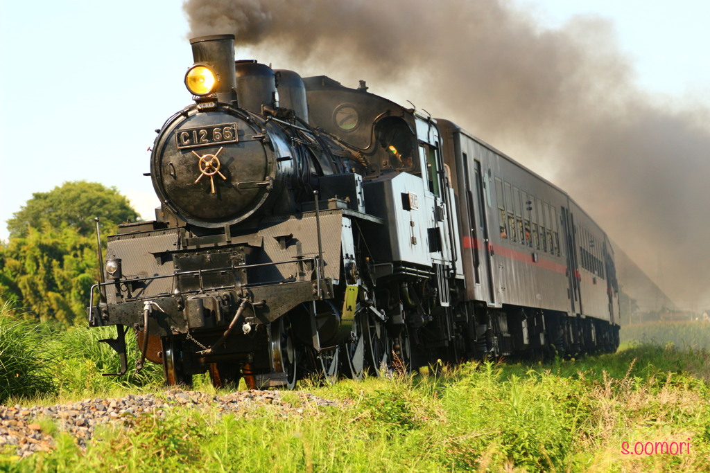 真岡鉄道  汽車