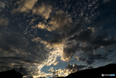 DSC05477