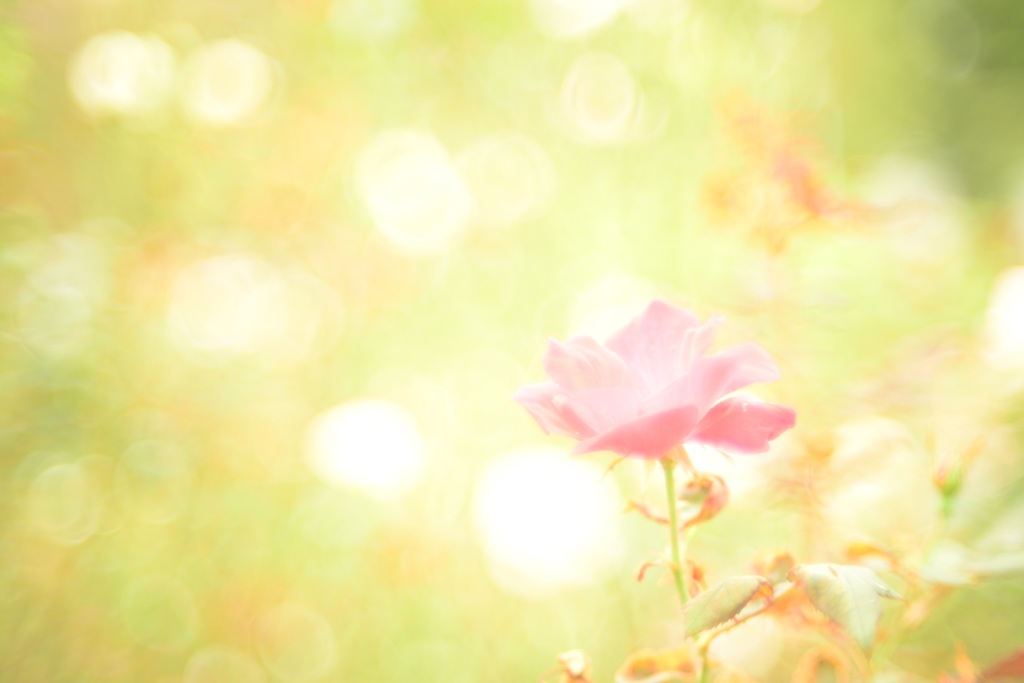 水彩の様に。。