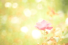 水彩の様に。。