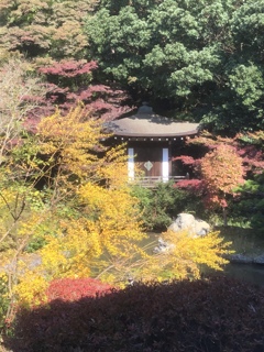 初秋 黄と朱
