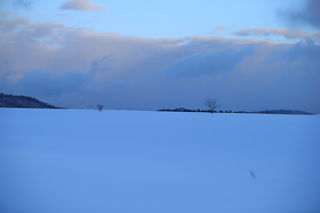 雪の大地