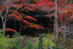 石段に臨む秋