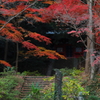 石段に臨む秋