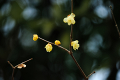 春の木漏れ日の中で