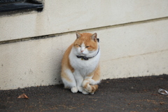 石壁の前にて