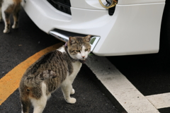 車のそばにて