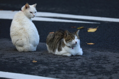 振り返る