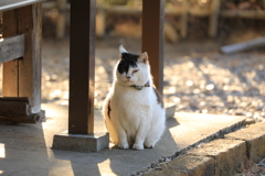柱のそばにて 柱のそばにて