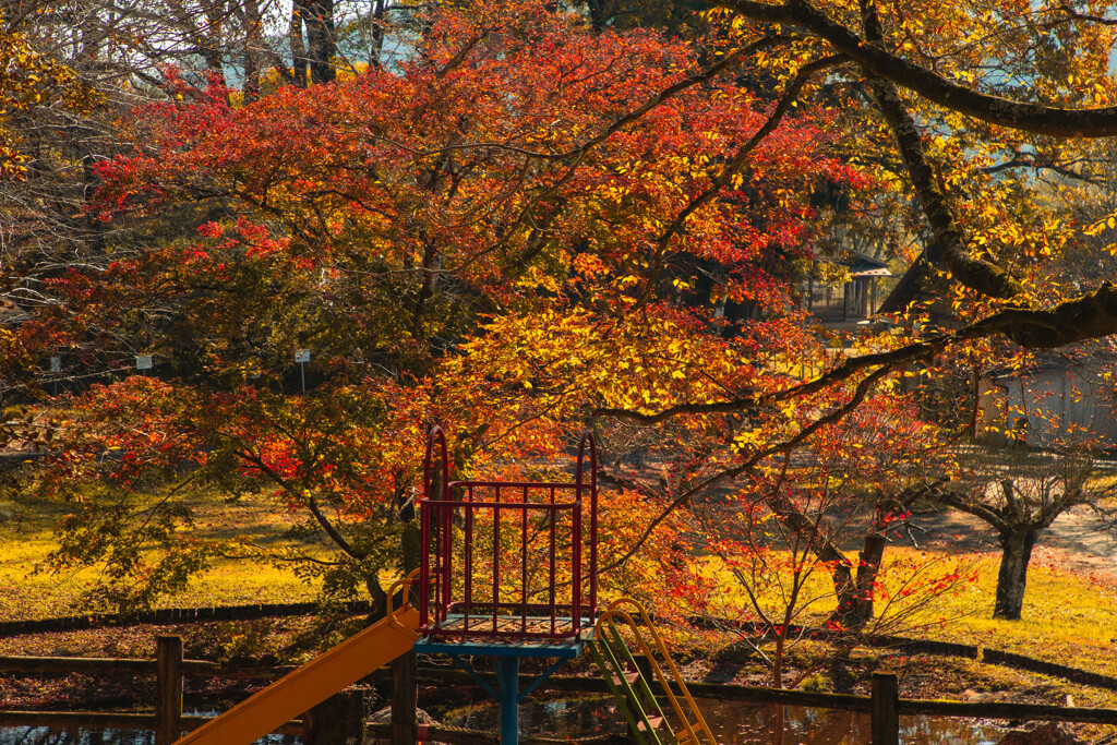 秋の遊び場