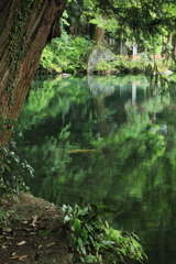 夏の色彩
