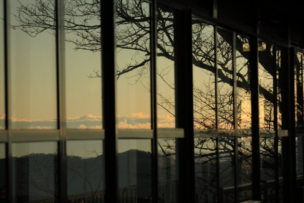 窓に映る日の出の風景