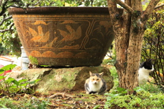 大釜の前にて