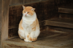階段のそばにて