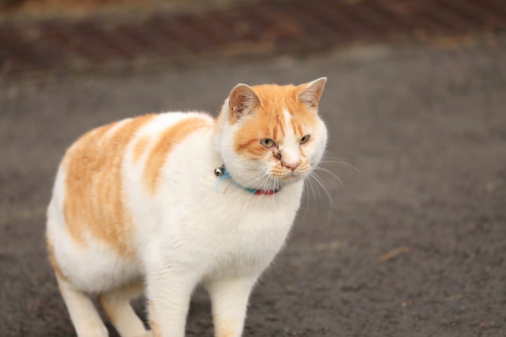 とまどい
