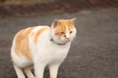 とまどい