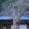 冬の到来